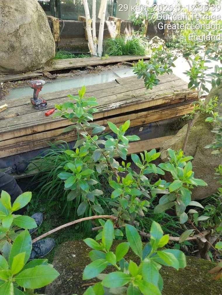 Bearers laid through the planting alongside the rooflight