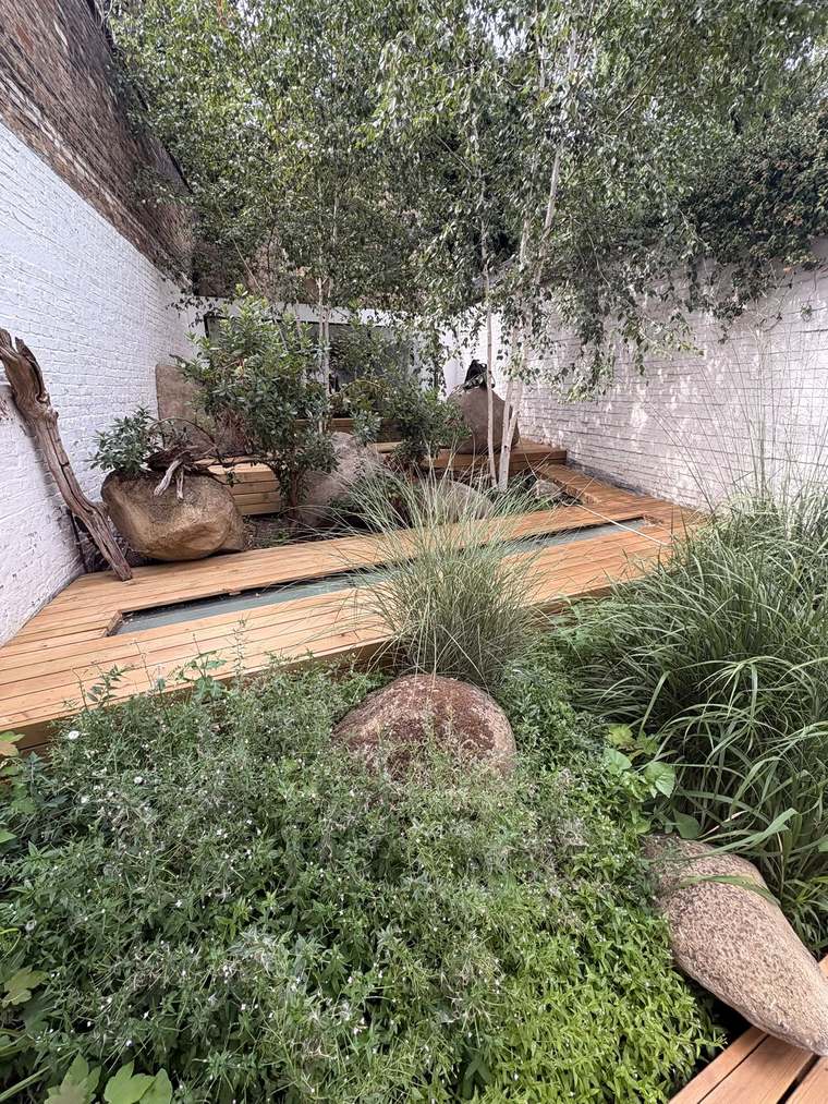 Completed garden at Duncan Street with new decking and planting